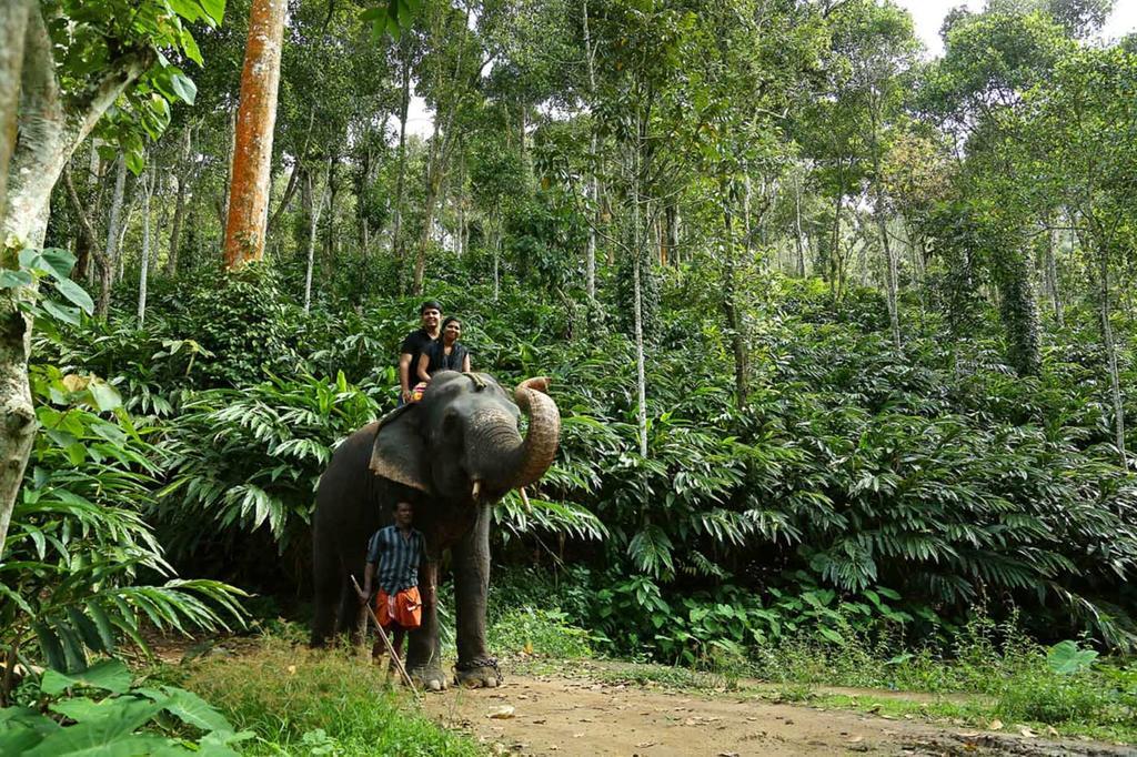 Elephant Court Thekkady Exteriör bild